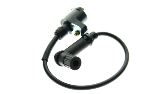 Zündspule CPI SX-SM50 Original CPI NEU