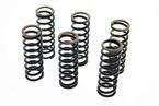 Cluch Spring Kit für Yamaha YZ250F 2008-2009 NEU