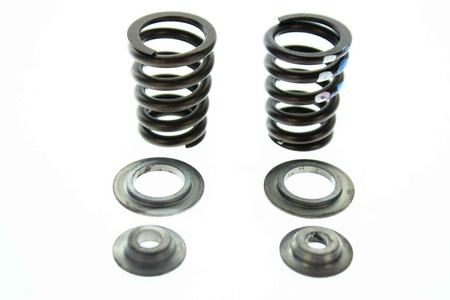 VENTILFEDERN KONI.KPL. 250 2003  59836028144