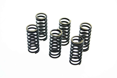 Cluch Spring Kit passt zu KTM SX 85 2003-2007, YZ 85 2002-2007, DT 125R 88-07 NEU