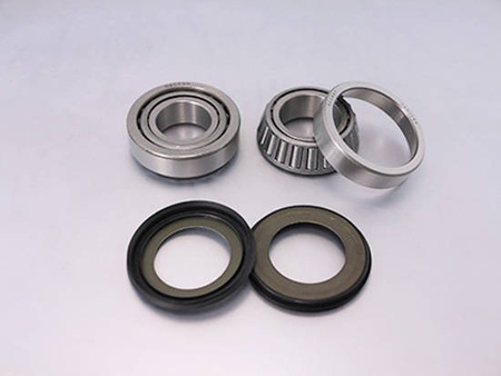 BEARING WORX Łożyska Główki plus uszczelniacze pasują do Gas Gas EC/MC 125/200/250/300 (22-1056)