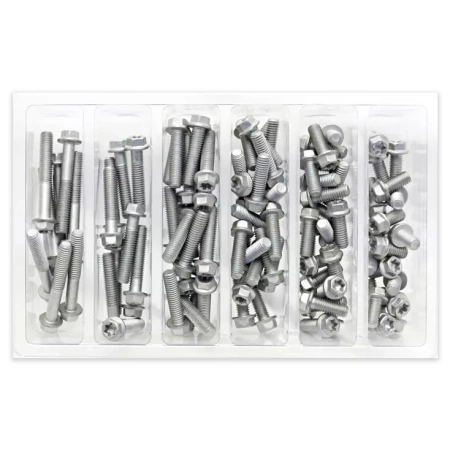 BOLT USA zestaw 100 śrub do motocykli pasuje do KTM Hsqvarna GASGAS