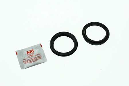 ARI 163 uszczelniacze przedniego zawieszenia Y-2 49X60,5 X 6/10,5