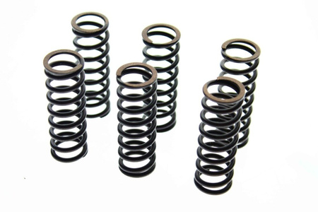 Cluch Spring Kit für Yamaha YZ250F 2008-2009 NEU