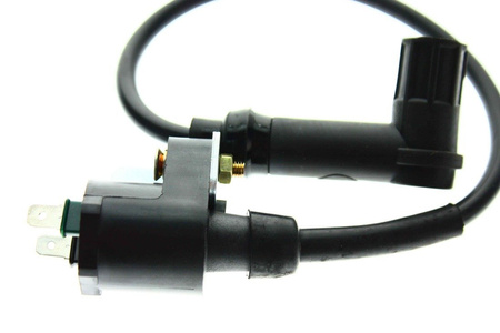 Zündspule CPI SX-SM50 Original CPI NEU