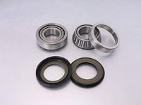 BEARING WORX Łożyska Główki plus uszczelniacze pasują do Gas Gas EC/MC 125/200/250/300 (22-1056)